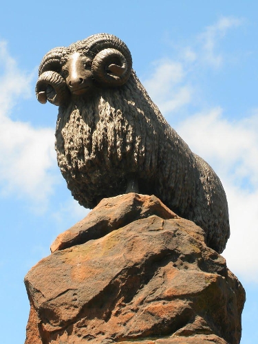 The Moffat Ram Statue